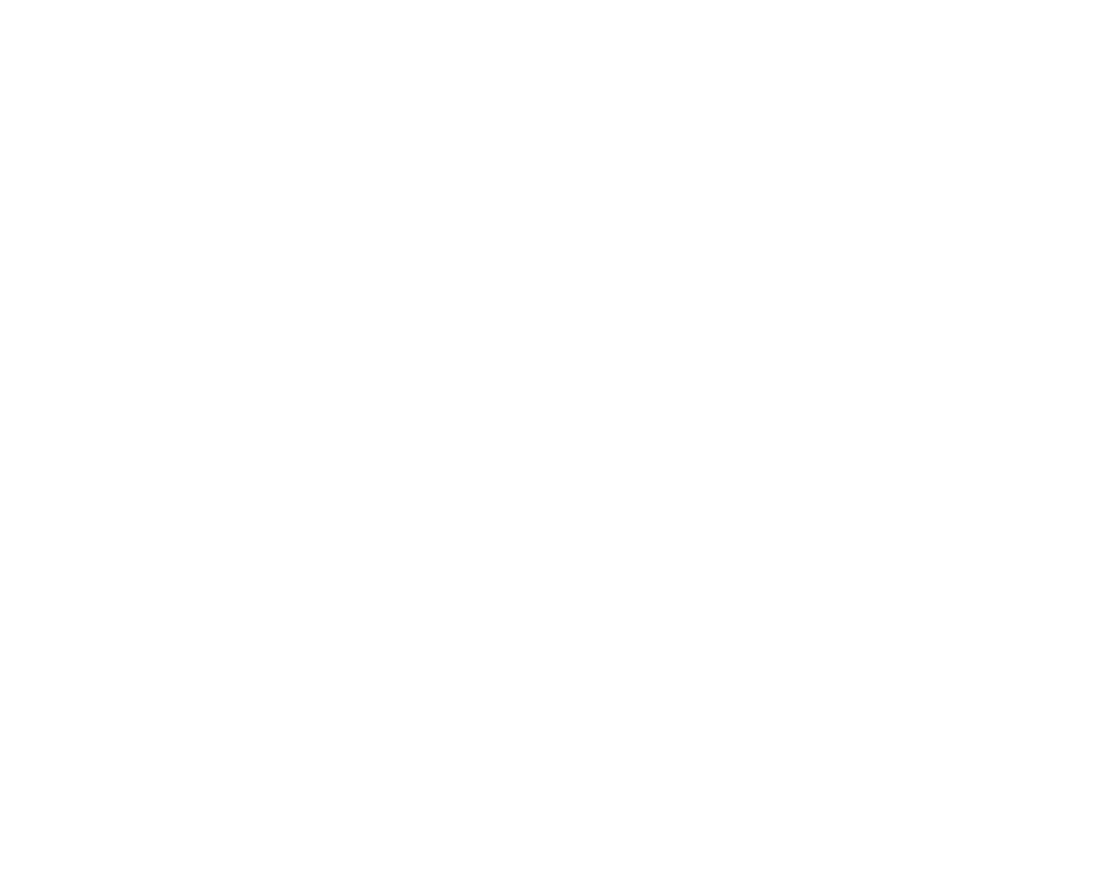 Logo Fight Logic